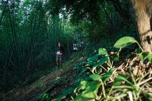 BIB: 
                            <button type="button" onclick="openModal(28123886)" class="btn btn-primary btn-sm float-right btn-popup" data-toggle="modal" data-target=".modal-high-quality">
                        <i class="fas fa-shopping-cart"></i> Add to Cart
                    </button>
                                            <button type="button" onclick="isThisMe(28123886, true)" class="btn btn-success btn-sm float-right btn-popup btn-isme hidden" data-toggle="tooltip" data-placement="bottom" title="นี่คือรูปของคุณใช่ไหม คลิกที่นี่เพื่อเอาเข้าอัลบั้ม">
                        <i class="fas fa-plus"></i> Add to album
                    </button>
                    <button type="button" onclick="isThisMe(28123886, false)" class="btn btn-warning btn-sm float-right btn-popup btn-isnotme hidden">
                        <i class="fas fa-ban"></i> Remove from album
                    </button>